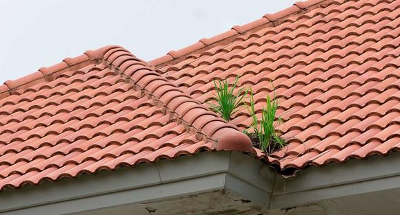 ¨Fuite toiture réparation à Avon-les-Roches (37220)